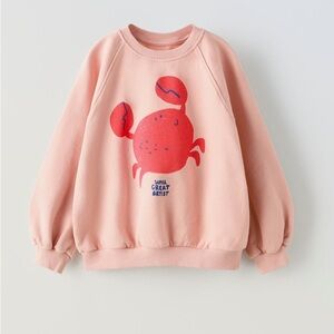 $22 ADD ON zara girls’ sweatshirt hanna andersson mini boden H&M cotton on kids